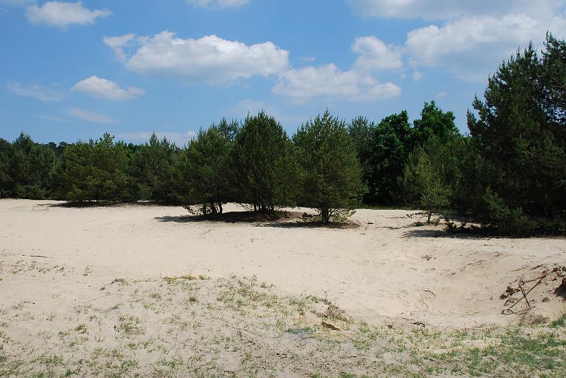 250508 085.JPG